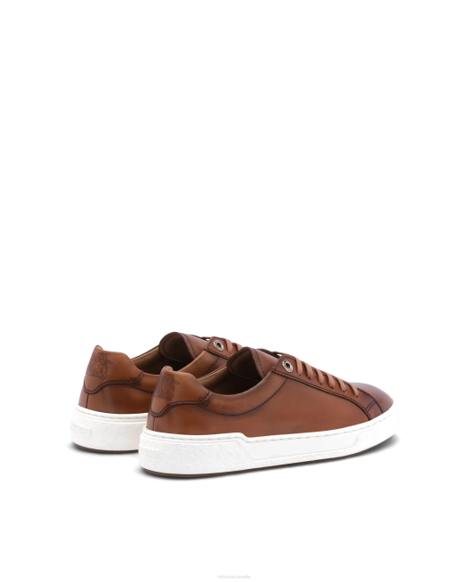 Torino Calf Sneakers Lottusse Men Brown Footwear L4RH189